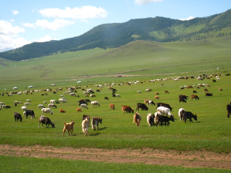 a_Mongolia_Ranch.jpg