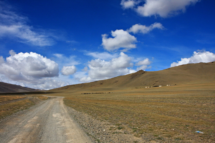 a_Mongolia-4-1000x1000.jpg